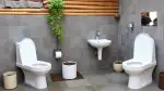Wasserlose Toilettensysteme für umweltbewusstes Wohnen